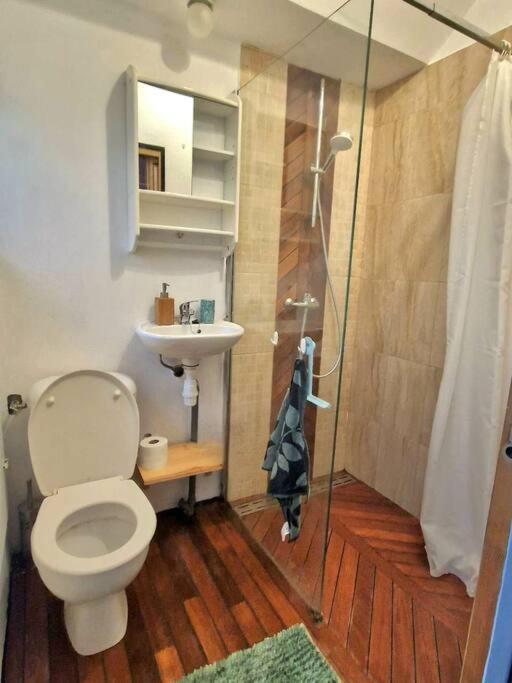 Chaleureux Appartement - Hyper Centre - Charbonnet Troyes Exteriör bild